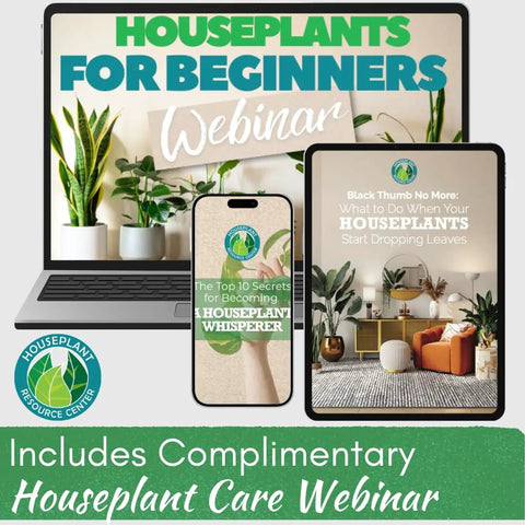 Devices displaying houseplant care webinar promotion with laptop, tablet, phone showing different content on houseplant care.