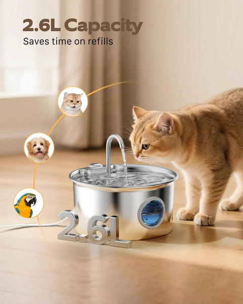 Stainless Steel Cat Water Fountain 88oz 2.6L Quiet Indoor Pet Water Dispenser for cats and small animals, cat drinking from bowl