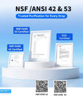 Certificates showcasing NSF ANSI 42 and 53 certification for Stainless Steel Faucet Water Filter on pedestals