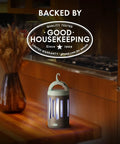 360 Degree UV Bug Zapper For Indoor And Outdoor Use on kitchen counter