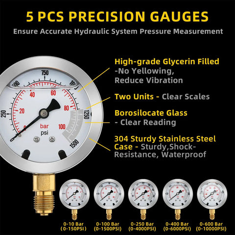 All In One Hydraulic Pressure Test Kit With Five Gauges 10 100 250 400 600 Bar 13 Test Couplings And 14 Tees