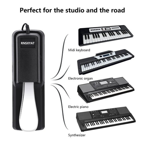 Sustain Pedal For Keyboard Universal With Polarity Switch And One Quarter Inch Plug Premium Alloy Piano Pedal For MIDI Keyboards