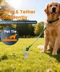 Golden retriever tethered with 12 Pack Screw-In Ground Anchors For Tents And Outdoor Gear, 12 Inch Aluminum Tent Stakes in park