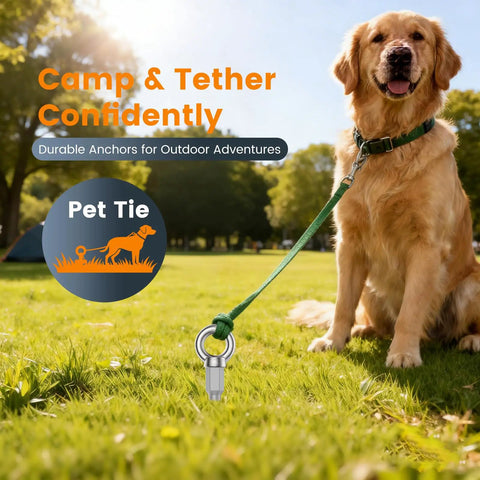 Golden retriever tethered with 12 Pack Screw-In Ground Anchors For Tents And Outdoor Gear, 12 Inch Aluminum Tent Stakes in park