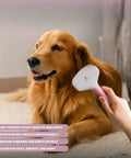 Small Slicker Brush For Dogs And Cats, Skin Friendly Deshedding Tool For Healthy Coats, Gentle Undercoat Groomer For Short And Long Haired Pets, Durable Stainless Pins, Perfect For Sensitive Pups, used on golden retriever