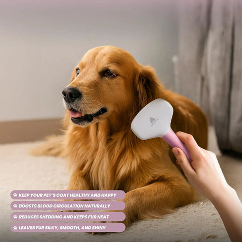 Small Slicker Brush For Dogs And Cats, Skin Friendly Deshedding Tool For Healthy Coats, Gentle Undercoat Groomer For Short And Long Haired Pets, Durable Stainless Pins, Perfect For Sensitive Pups, used on golden retriever