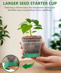 Hands holding a clear silicone base nursery pot with a plant from 12 Cell Seed Starter Kit With Grow Light And Graphene Heating Mat For Faster Germination.