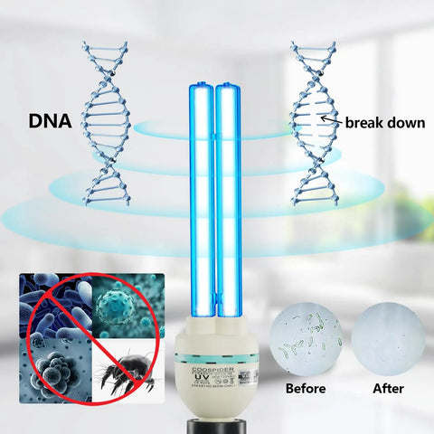 36 Watt UV Sanitizer Lamp With Remote Control Powerful UVC Light For Basement Bedroom Kitchen Office Car 110V Ozone Free Three Gear Timer