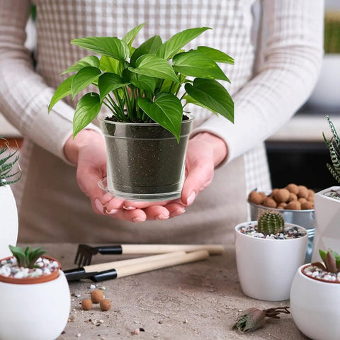 Person holding 10 Piece Reusable Flexible Nursery Pots With Drainage For Indoor And Outdoor Gardening including drip catcher saucer