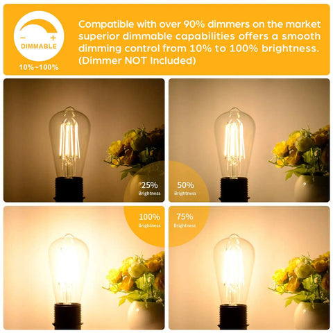 12 Pack Dimmable Vintage LED Edison Bulbs 60W Equivalent 7W Warm White 2700K ST58 with brightness levels.
