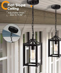 Large 14 Inch Outdoor Pendant Light With Adjustable Chain In Black Exterior Finish And Clear Glass For Porch Foyer Gazebo Patio