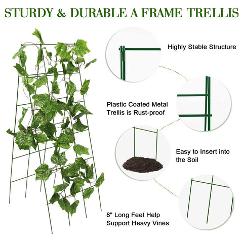 Foldable Metal A-Frame Cucumber Trellis 48 By 18 Inches with plants climbing on sturdy metal structure