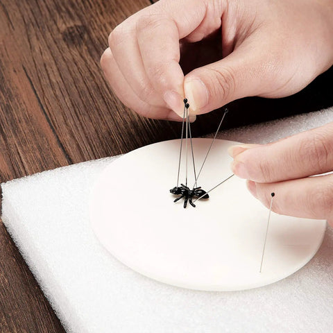 Stainless Steel Insect Pins Kit Bulk 500 Piece Five Size Set For Entomology Displays And School Projects Durable Reusable Specimen Pins