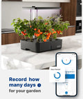 Indoor Hydroponics Growing System Kit With 12 Pods LED Grow Light Built In Fan Auto Timer on kitchen counter