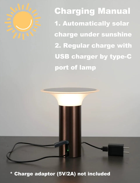 Cool Solar Table Lamp Cordless Rechargeable Night Light With Touch Dimming Portable USB C Charging Brown Finish