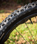 Close-up of a textured mountain bike tire with a valve against a blurred natural background.