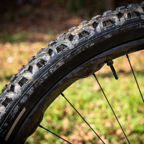 Close-up of a textured mountain bike tire with a valve against a blurred natural background.