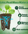 50 Pcs Rooting Sponges And Starter Plugs For Seedlings Or Cuttings, Fast Rooting For Soil, Tray Or Planting Pods, Plant Rooter
