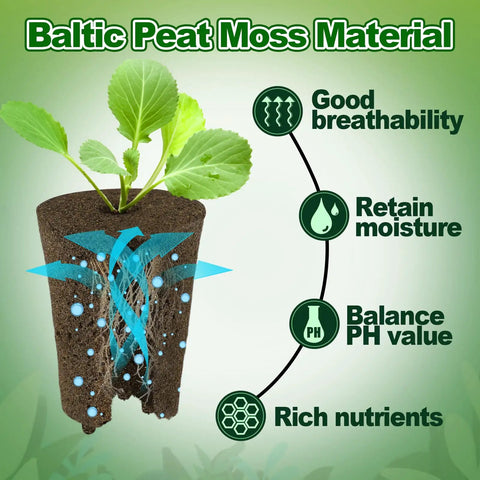50 Pcs Rooting Sponges And Starter Plugs For Seedlings Or Cuttings, Fast Rooting For Soil, Tray Or Planting Pods, Plant Rooter