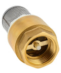 One Inch Brass Foot Valve For Well Pump With Filter Screen And Stainless Steel Check Valve DN25 Bottom Valve for water systems
