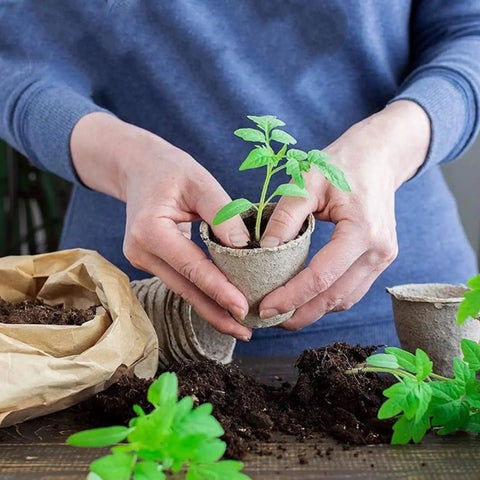 Hands holding Seedling Pot Set For Germination Round Nursery Pots For Yard Balcony Garden Breathable Paper Pulp Planters.
