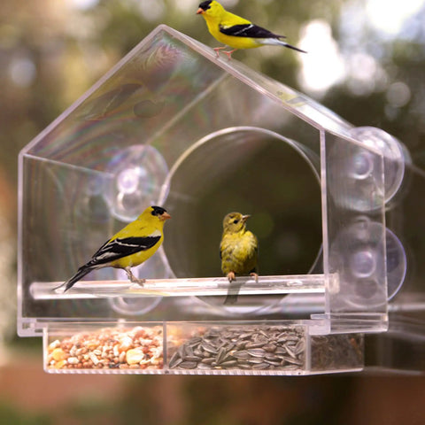 Window Bird Feeder For Outdoors Weatherproof Transparent Acrylic With Enhanced Suction Grip Super Easy To Clean No Fuss Bird Watching