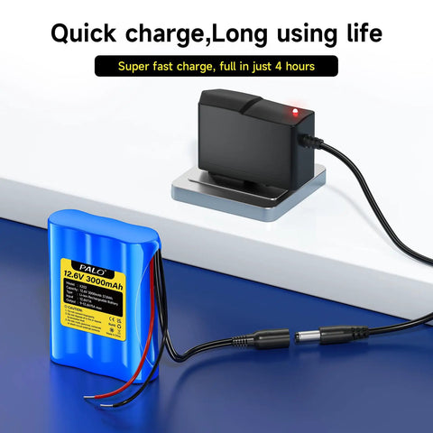 12V 3000mAh Rechargeable Lithium Battery Pack with 12.6V Charger 3A Max DC Output Portable Power Kit for RC Cars