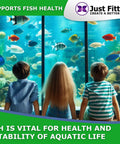 Children observing aquarium fish demonstrating use of Alkaline Water pH Test Strips Kit for Home Use and Liquid Testing.