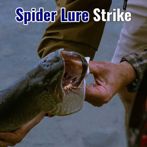 Angler removing lure from fish using Weedless Topwater Spider Lure With Soft Hollow Body Walking Bait 4 Color Mix 4 Pack.