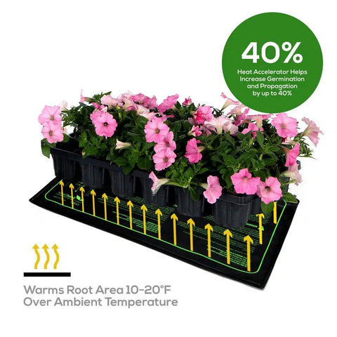 Certified Seedling Heat Mat 2 Pack Waterproof Germination Station Heating Pad For Indoor Home Gardening Keeps Seed Roots Between 70 And 85 Degrees Fahrenheit Durable Hydroponic Seed Starter Mat 10 By 20 Inches Germination Boost