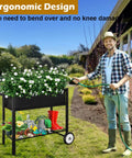 Raised Garden Bed On Wheels With Legs 31 Inch Elevated Outdoor Planter Cart For Vegetables Flowers Tomatoes Herbs Ergonomic Design Movable Garden Bed With Heavy Duty Handle Black, displayed on a lawn with gardener nearby.