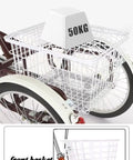 20 Inch Adult Tricycle with Large Rear Cargo Basket and Lid, front and rear view of steel baskets