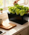 Black 6 Hole Hydroponic Growing Box System for Vegetables Fruits and Flowers Indoor Outdoor Garden Kit for home use
