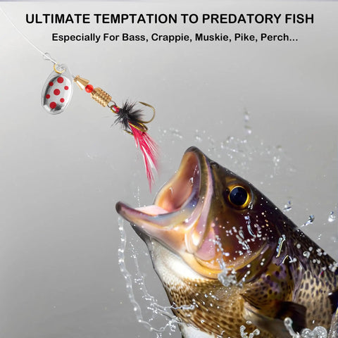 Trout striking lure from 10 Piece Spinner Bait Set With Tackle Box, Rooster Tail Style Lures With Flash Spoons For Freshwater
