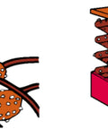 Illustration showing biological structures and mechanical springs side by side, symbolizing comparisons between biology and mechanics.