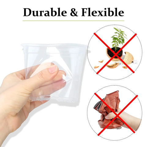 Clear nursery pots with drainage holes demonstrating flexibility, transparent plastic, suitable for succulents and herbs.
