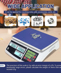 Heavy Duty Digital Counting Scale 30Kg 66Lb With Zero Point One Gram Precision for coins and parts, shown with blue tray in use.