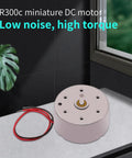 10 Pack Tiny Micro DC Motors R300C 25mm Small DC Motor 1.5V 3V 6V 1730 RPM With Wire on windowsill