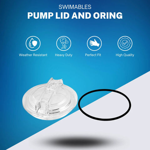Pool Pump Lid And O Ring Replacement For SPX3100D Pro Super II Pumps And SP3000X Series, clear lid with black O ring