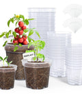See Through Seed Starter Pots 30 Pack Clear 3 To 5 Inch Plant Pots with drainage holes and raised base, includes labels