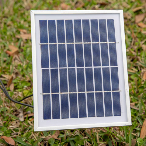 Small rectangular solar panel with white frame placed on grass, displaying vertical blue photovoltaic cells.