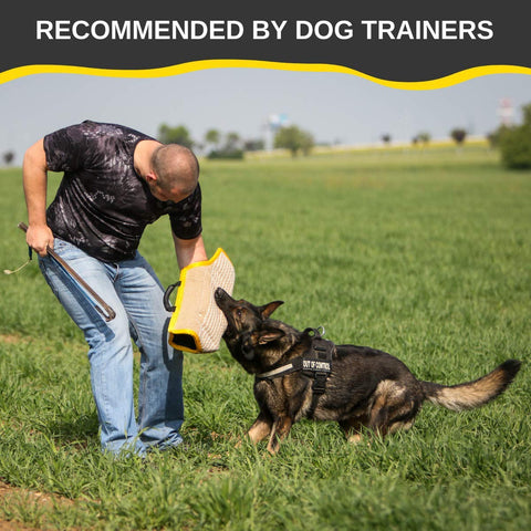 Trainer using Durable Dog Bite Sleeve For Medium To Large Breeds Pro Training Gear For German Shepherds And Pitbulls Safe Padded Arm Sleeve for K9 training outdoors.