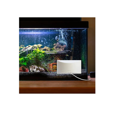 Indoor Window Mount Outdoor Security Camera with strong suction cup attached to a fish tank.
