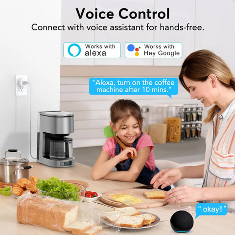 Smart Plug For Alexa And Google Home With Remote Control And Timer No Fuss Setup 2.4GHz WiFi Only Easy Setup Via Smart Life App