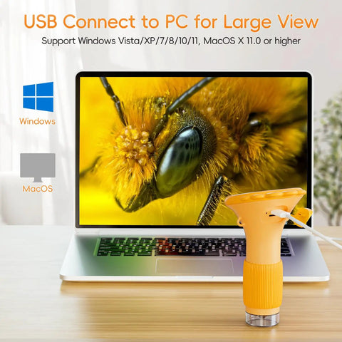 Totally Rad Kid Friendly Portable Digital Microscope With 2 Inch IPS Display And 1000X Magnification Handheld USB Microscope For PC Compatible A Cool Science Gift For Kids Students USB connected to laptop showing bee close-up