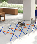 4 Piece Dog Agility Course Set With Adjustable Height Hurdles in use indoors, small dog jumping over orange hurdles.