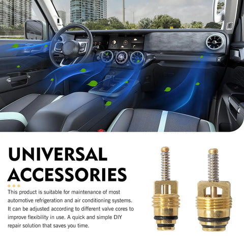 17 Pcs Air Conditioning Valve Core Kit for R12 and R134A With Teflon Seal Caps, Schrader Valve Kit shown in car interior view