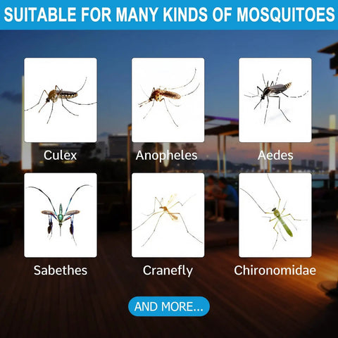 Image showing six types of mosquitoes: Culex, Anopheles, Aedes, Sabethes, Cranefly, Charinomidae suitable for mosquito attractants.