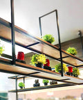 Must Have Ceiling Mounted Wood Shelf With Black Metal Brackets, Vintage Wine Bottle Holder And Flower Stand For Bar Kitchen Or Bedroom, Overhead Storage Rack, Solid Wood Display Shelf In Six Size Options 120x30x80cm with plants and red decor items.