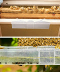 20 Pack Small Reusable Hive Beetle Guards for Bee Hives installed in a wooden frame with visible bees and SHB captured inside